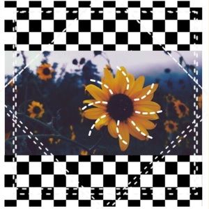 Meet your Posher, Genesis